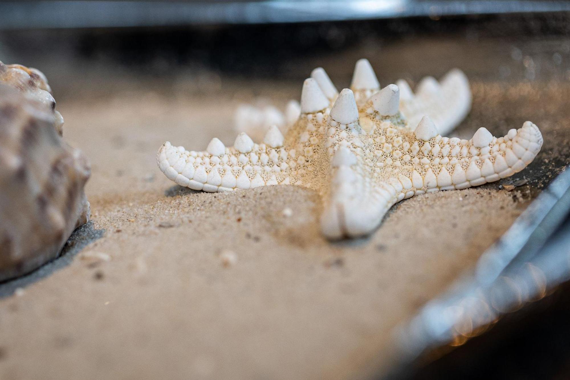 Solvis Villa Zingst Luaran gambar
